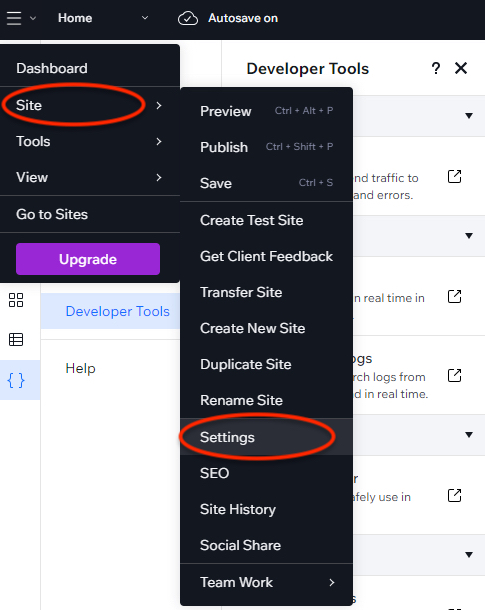 Wix settings screenshot.jpg