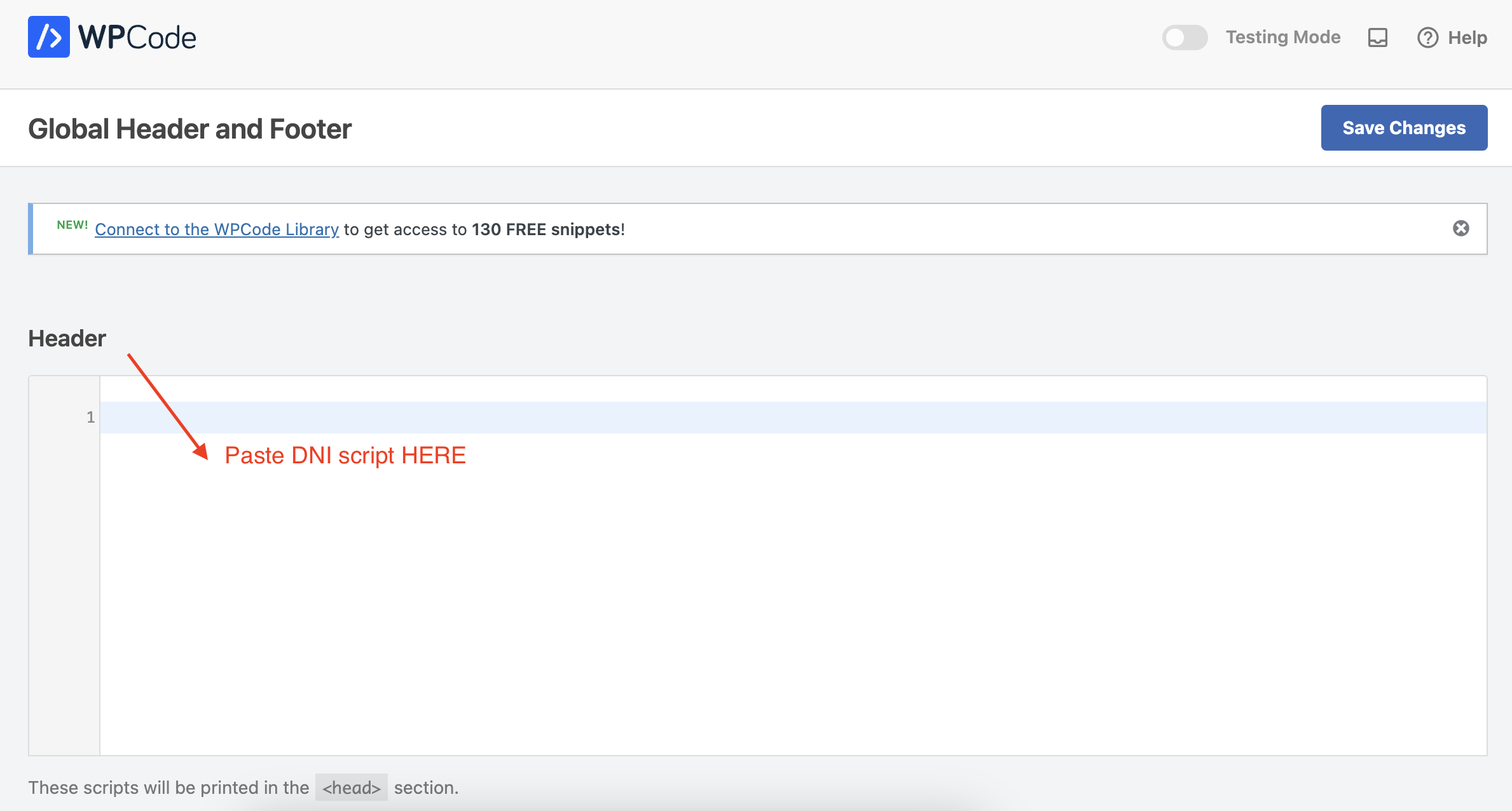 WP Code Paste DNI.png